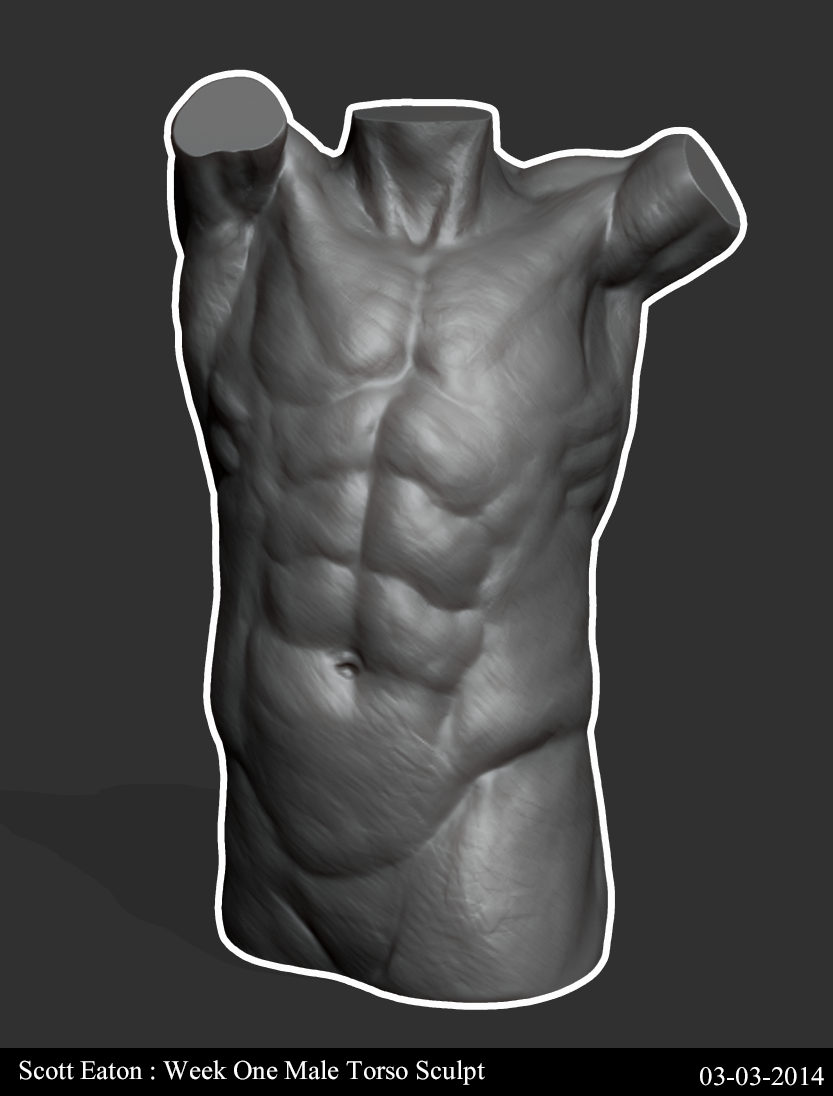 Week One Male Torso Sculpt