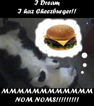 CON HAZ NO CHEEZEBURGER