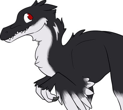 Midnight Raptor Midnight (Raptor) by MidnightGenocide2001 on DeviantArt