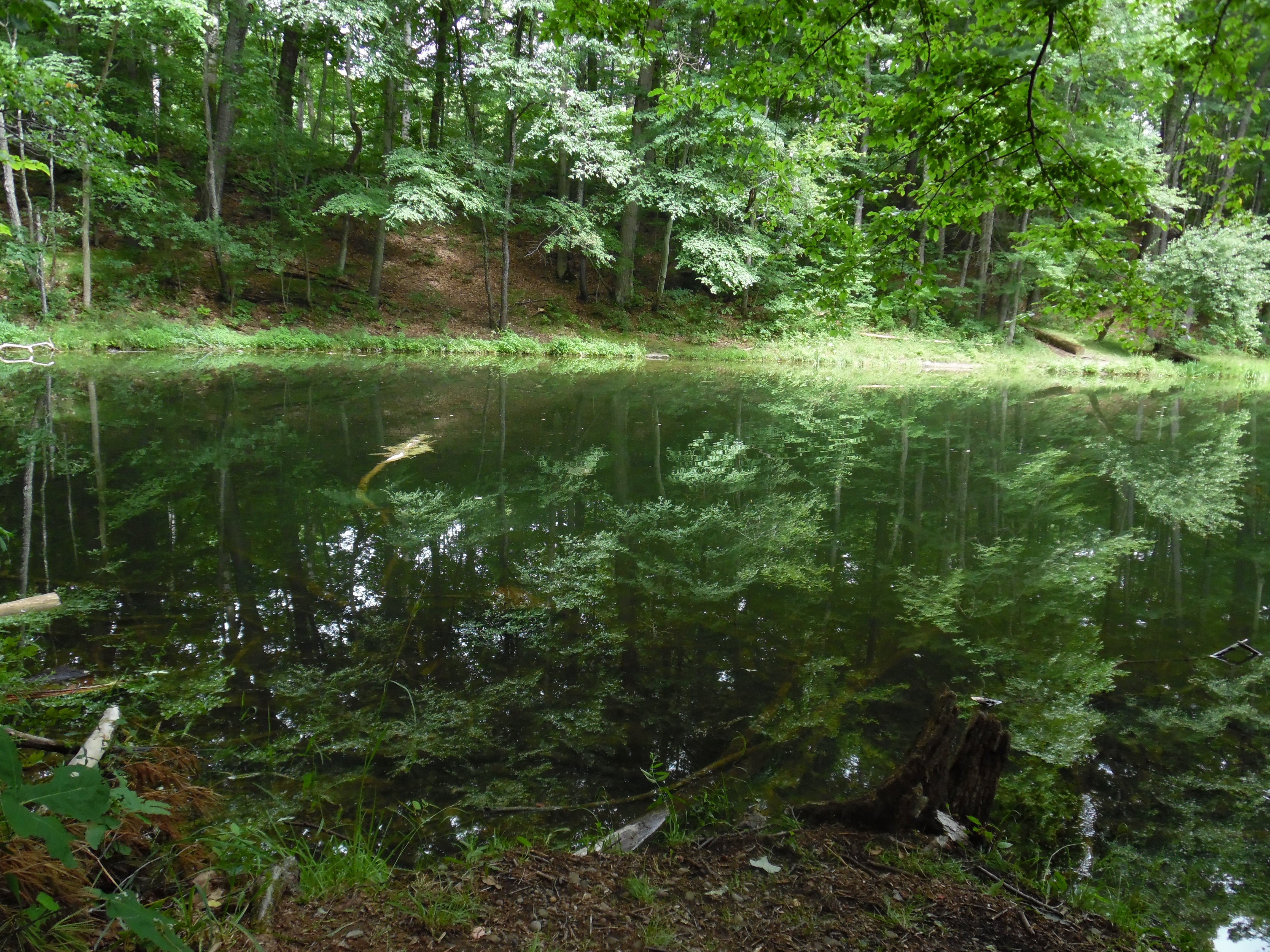 Mirror Lake