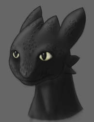 Toothless01