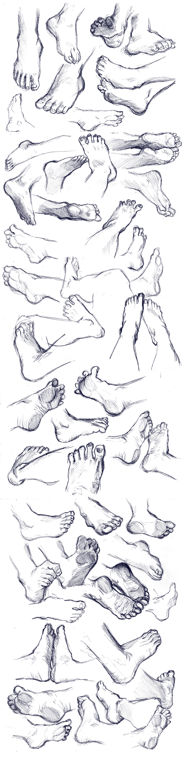 Feet Study