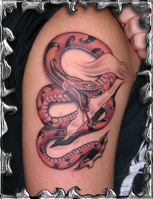 Snake - tattoo