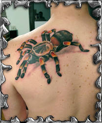 Tarantula - tattoo
