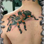 Tarantula - tattoo