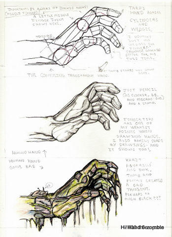 Realistic Rotten Hand Rotten Hand tutorial by tarpalsfan on DeviantArt