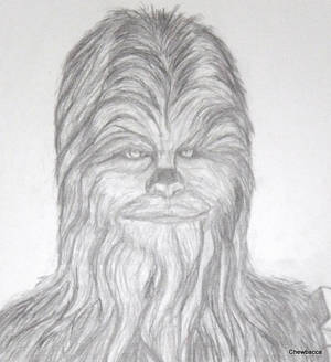 4 jw-18  Chewbacca