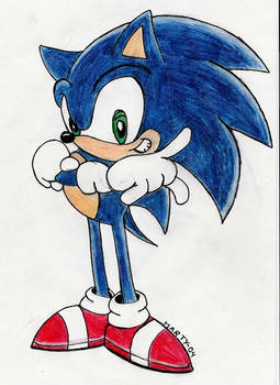 Sonic The Hedgehog.