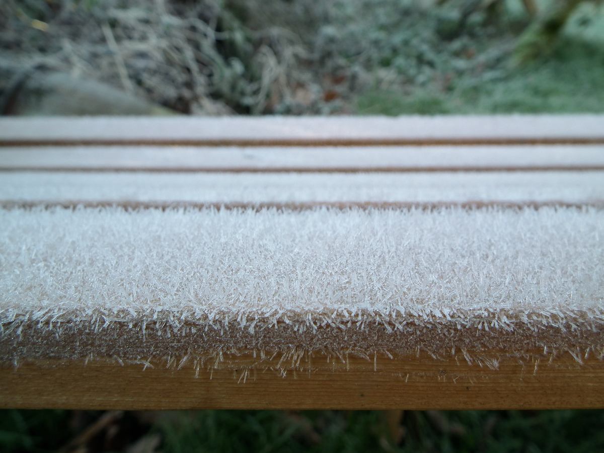 frosty bench