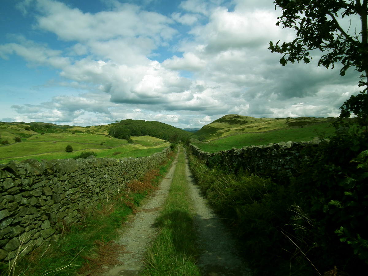 oxen park track