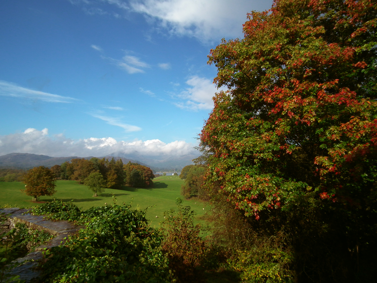 red oak views