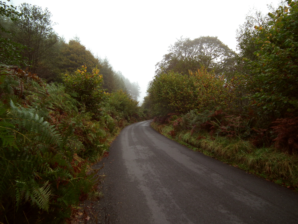 eighty ninth bike ride 2014