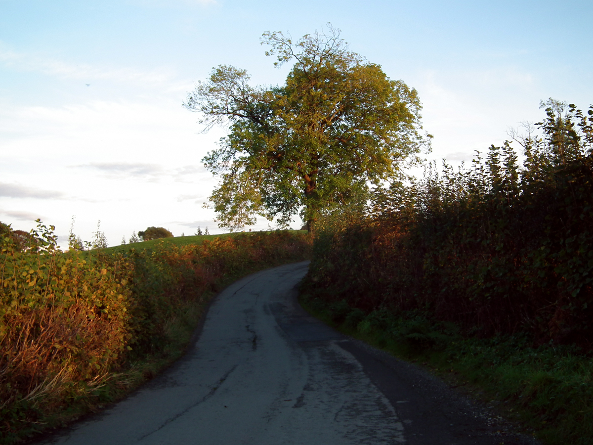 ninetieth bike ride 2014