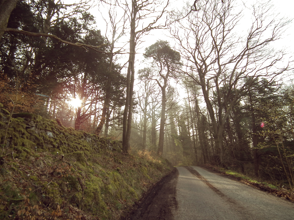 stott bike ride 3