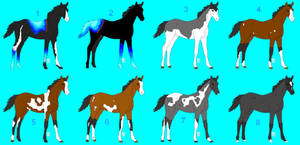 Foal Auction