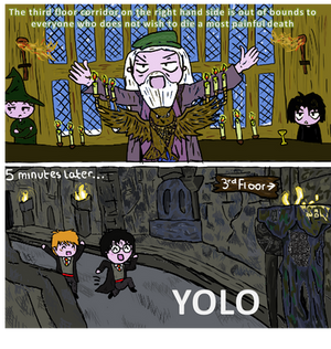 Harry Potter YOLO