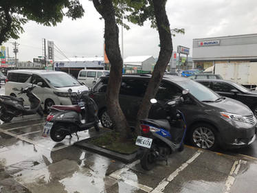 Toyota Sienna and Toyota Alphard