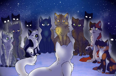 Welcome to Starclan Whitestorm *OLD*