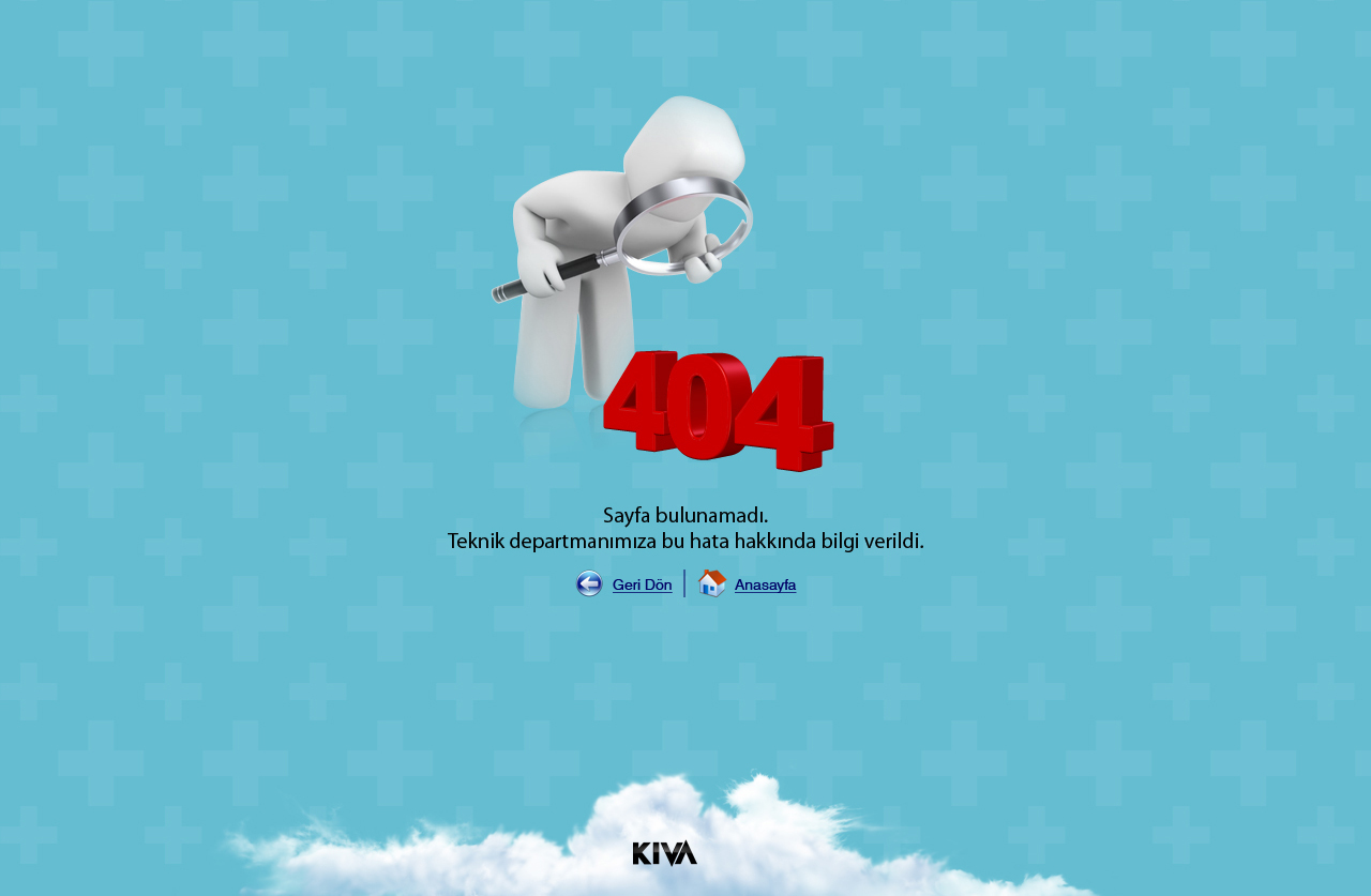 404 Error Page