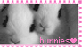 Bunnies - STAMP
