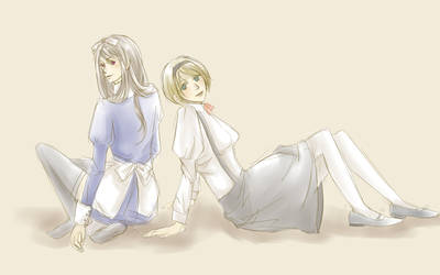 APH Belarus and Ukraine