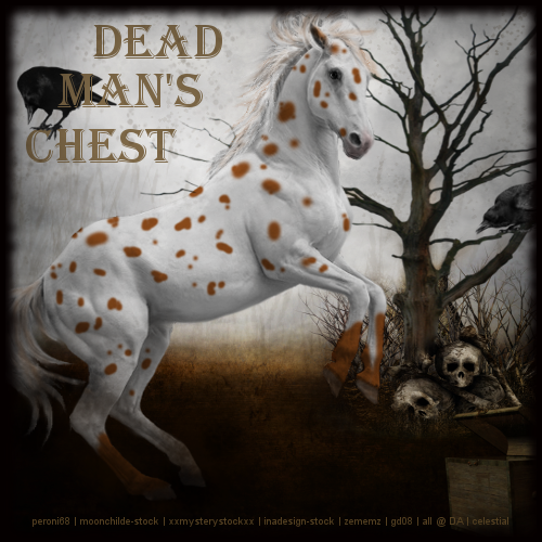 Dead Man's Chest