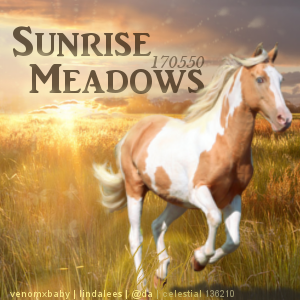 Sunrise Meadows