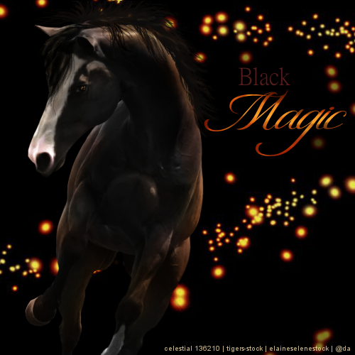 Black Magic Avatar