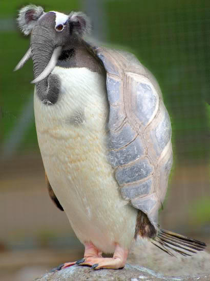 Another Animal Morph by Noobie90 on DeviantArt