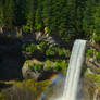 Brandywine Falls