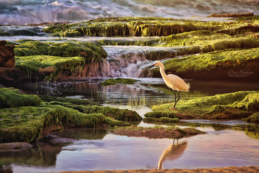 Peaceful by dorwein Peaceful by dorwein
