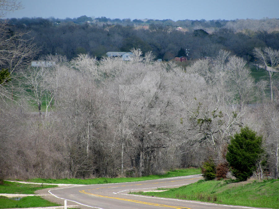 Winter Country Road