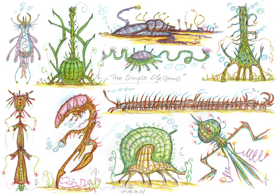 Lesser Life Form The Simple Lifeforms by MickMcDee on DeviantArt