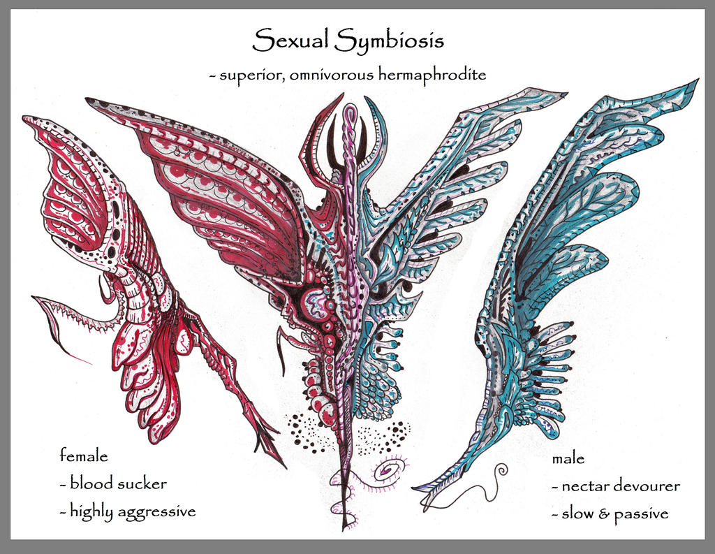 Sexual symbiosis