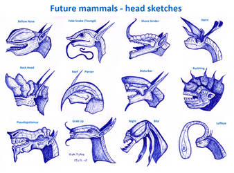 Future mammals - head sketches
