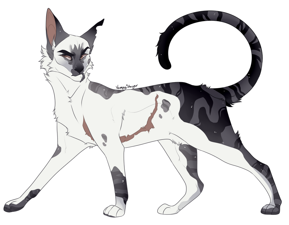 Cold Bihhhh by Vampy-Slayer