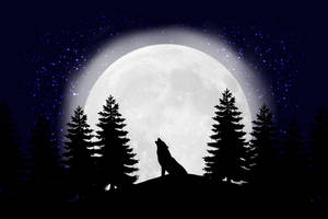 Full Moon Howl