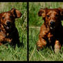 Happy Monty :D