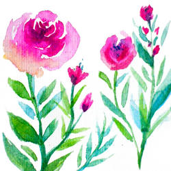 watercolor flowers