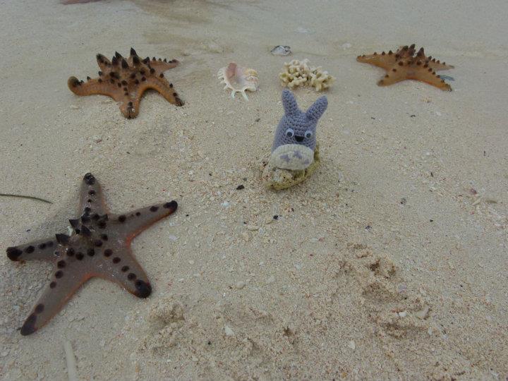 Totoro with Ponyo friends