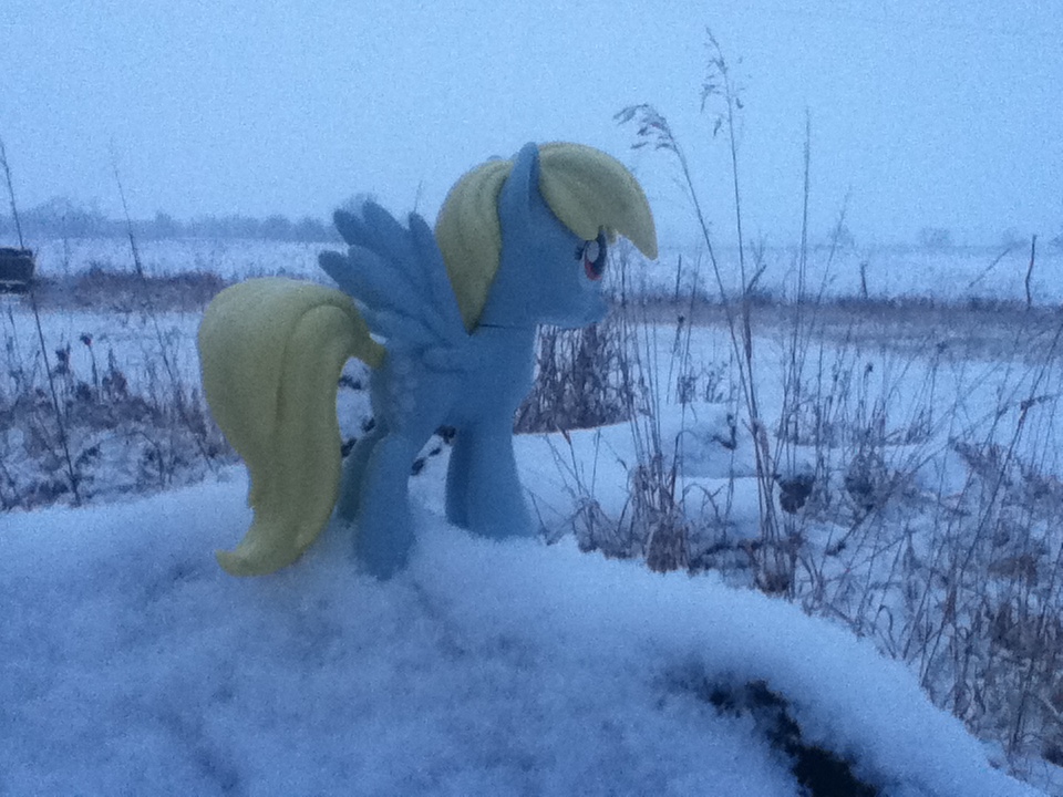 Derpy in the Snow (Pic 3)