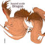 Drakeonpedia - hound scale dragon