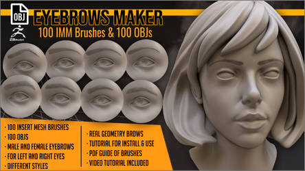 Eyebrows Maker 100 ZBrush IM brushes and 100 OBJs by J-o-r-d-i