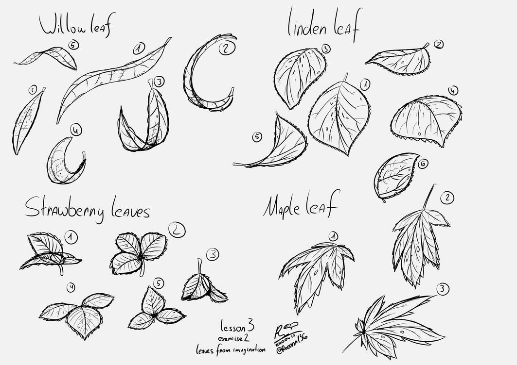 Leaf Texture And Construction Exercise. By Mableartsnaoko On Deviantart