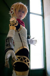 Aigis