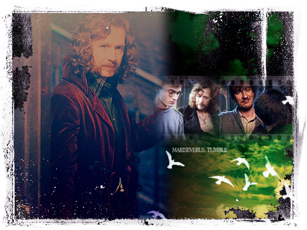 Sirius Black and family