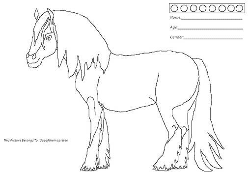 Gypsy Vanner Outline