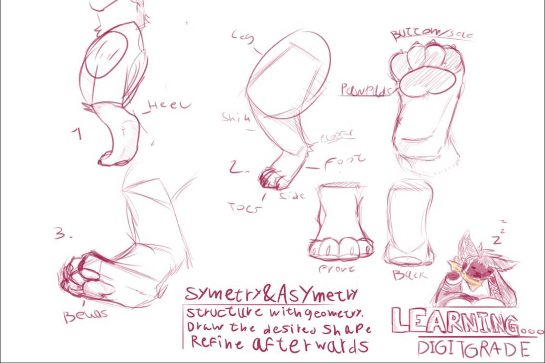 Digitigrade Shape Digitigrade by Aflyria on DeviantArt