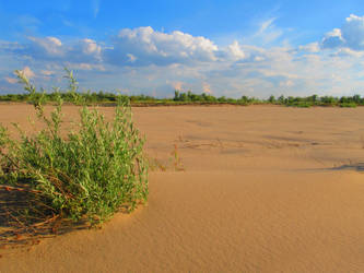 Steppe and sand