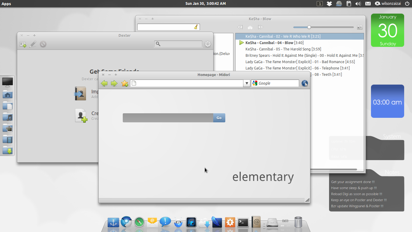 Elementary OS